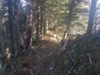 Über den Samstenbergkamm auf den Stillberg