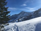 Skitour durchs Schwarzwassertal auf Steinmannl und Ochsenhofer Köpfe