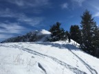 Skitour durchs Schwarzwassertal auf Steinmannl und Ochsenhofer Köpfe