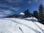 Skitour durchs Schwarzwassertal auf Steinmannl und Ochsenhofer Köpfe