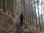 Rundtour über den Gopfberg