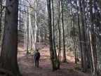 Rundtour über den Gopfberg