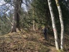 Rundtour über den Gopfberg