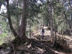Rundtour über den Gopfberg