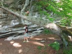Bouldern Kammeregg