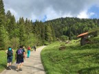 Steineberg