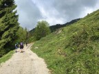Steineberg
