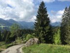 Steineberg