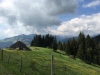 Steineberg