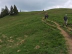 Steineberg