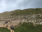 Steineberg