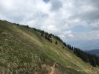 Steineberg