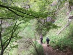 Steineberg