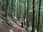 Steineberg
