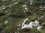Plattnitzerspitze