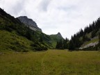 Torkopf
