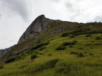 Torkopf