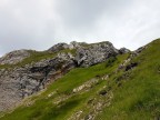 Torkopf