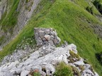 Torkopf