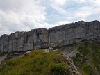 Torkopf