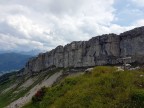 Torkopf