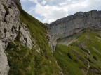 Torkopf