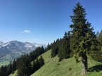 Zinken und Sorgschrofen
