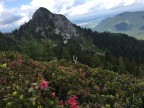 Baumgartenkopf, Schwarzenkopf und Jaufen