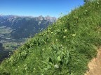 Säuling Südwestwand