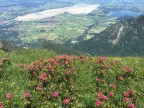 Säuling Südwestwand