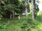 Wannenberg, Hintere Üntschenspitze, Ünschteller, Güntlespitze, Hochstarzel und Unspitze