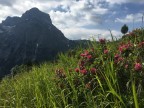 Wannenberg, Hintere Üntschenspitze, Ünschteller, Güntlespitze, Hochstarzel und Unspitze