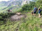 Wannenberg, Hintere Üntschenspitze, Ünschteller, Güntlespitze, Hochstarzel und Unspitze