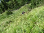 Überschreitung Silberspitze