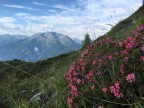 Silberspitze