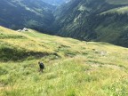 Sererfalben, Pfrondhorn, Falvkopf, Grenzspitze, Löffelspitze