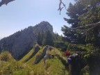 Dreisäulerkopf, Hennenkopf, Laubeneck, Teufelstättkopf und Pürschling