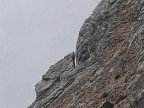 Aggenstein Franz-Haff-Weg