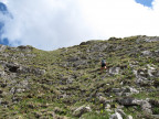 Von der Kohlbergspitze zum Plattberg