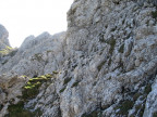Gehrenspitze "Langer Westgrat"