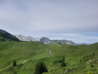 Eferagrat