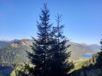 Babylonischer Turm