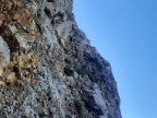Babylonischer Turm