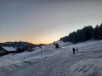 Bullerschkopf