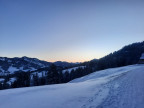 Bullerschkopf