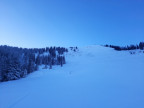 Bullerschkopf