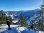Bullerschkopf