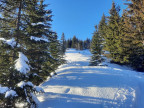 Bullerschkopf