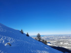 Bullerschkopf