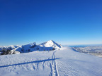 Bullerschkopf